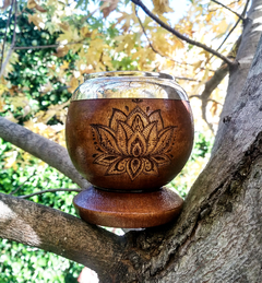 Flor de loto Algarrobo
