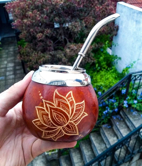 Flor de loto Calabaza