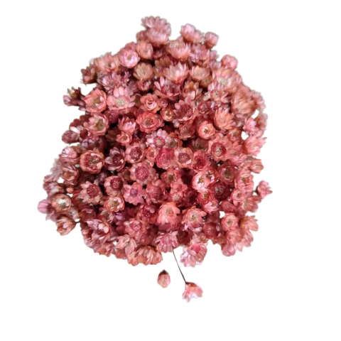 Sempre Viva de 12 grs aproximadamente 150 Florzinhas cor COBRE