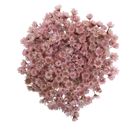 Sempre Viva de 12 grs aproximadamente 150 Florzinhas cor Rosa