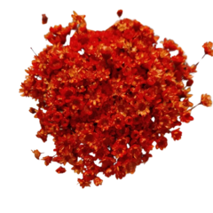 Sempre Viva de 20 grs aproximadamente 300 Florzinhas cor Laranja