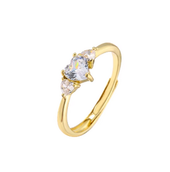 Anillo PASSION