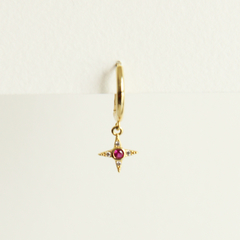 Estrellita rose-056