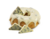 Recheio Chococookies - Creme Cacau Branco com Pedaços de Cookies 4,0 kg - loja online