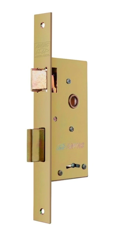 Cerradura Seguridad Anuac Perno Rectangular 20,5x184,5mm