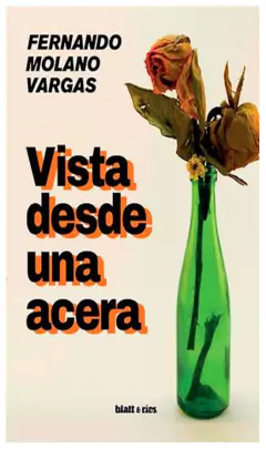 vista desde una acera - fernando molano vargas