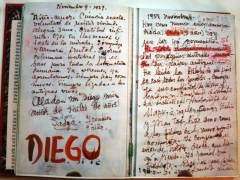 Diario - Frida Kahlo - Alas Rotas (Ed. Vaca Independiente) en internet