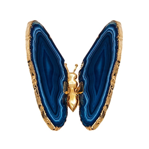 Borboleta azul com borda em ouro