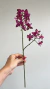 Haste de mini orquídea pink - comprar online