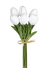 Buquê de tulipas brancas