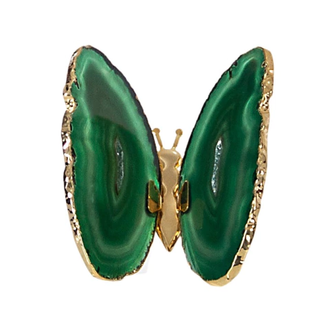 Borboleta verde com borda em ouro