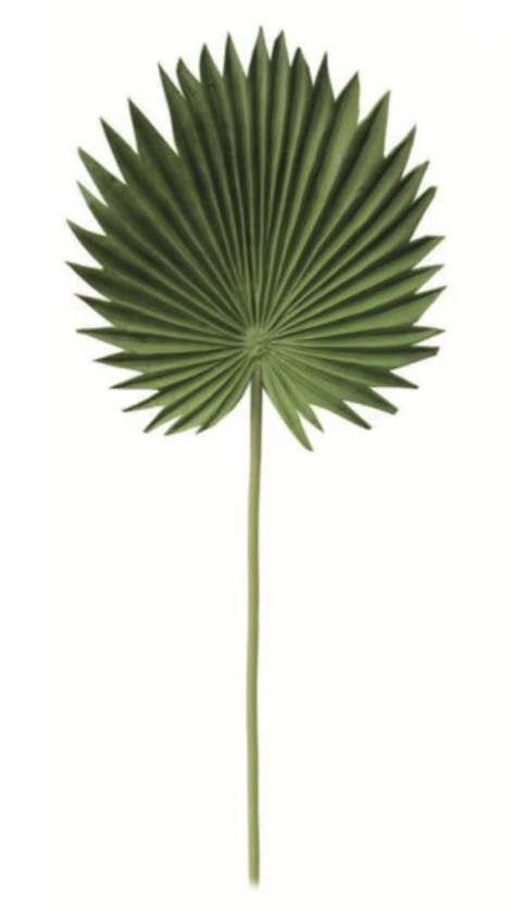 Haste de Folhagem Latania