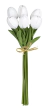Buquê de tulipas brancas