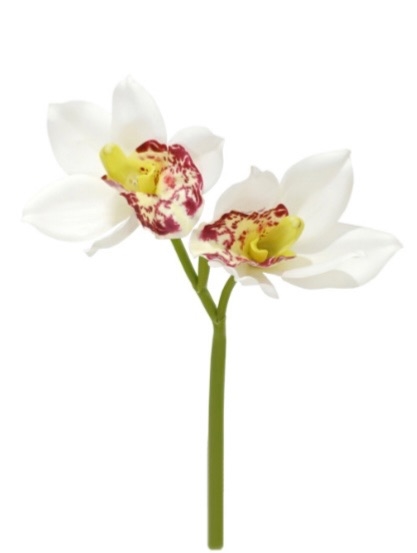 Haste de Orquídea Cymbidium