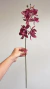 Haste de orquídea rosa - comprar online