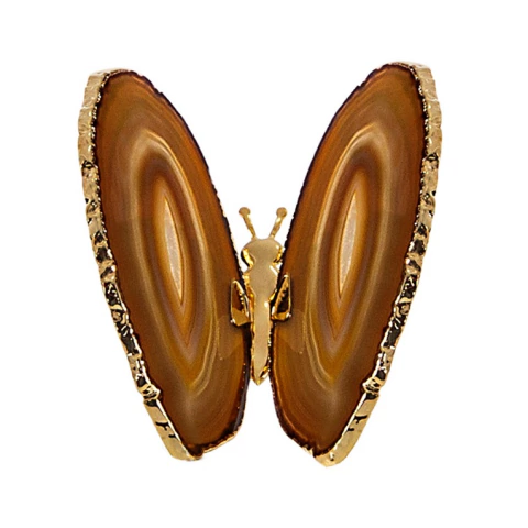 Borboleta natural com borda em ouro