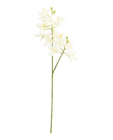 Haste de mini orquídea branca