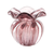 Trouxinha Torcello New Rubi - comprar online