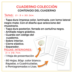 CUADERNO A4 COLECCIÓN - DISEÑOS VARIADOS - 80 HOJAS - comprar online