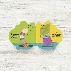 El escarabajo y las formas - comprar online