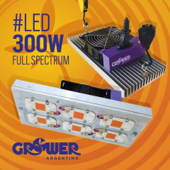 PANEL LED 300 W
