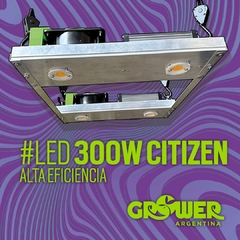 Led CITIZEN 300w