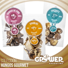 Colección Hongos Gourmet (12 productos) - tienda online