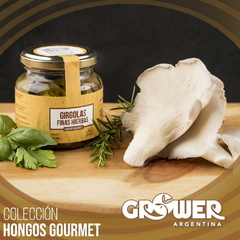 Colección Hongos Gourmet (12 productos)