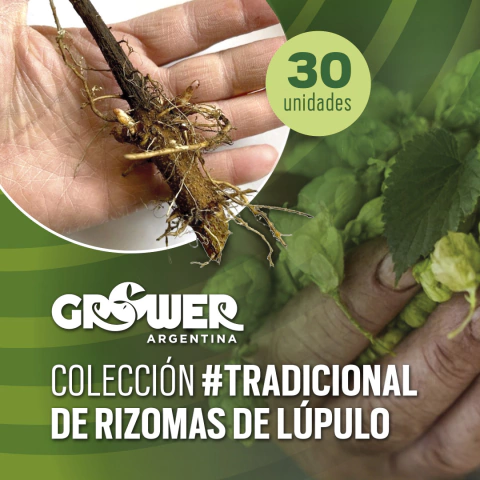 Colección TRADICIONAL de Rizomas de Lúpulo (30 unidades)
