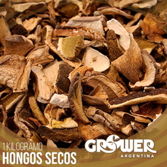 Colección Hongos Secos (1 Kilogramo) en internet