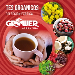 Tés Orgánicos - Colección Exótica (6 variedades)