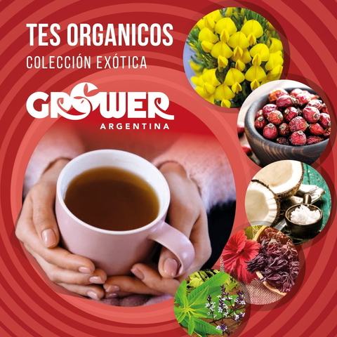 Tés Orgánicos - Colección Exótica (6 variedades)