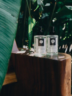 Homespray Evergreen na internet