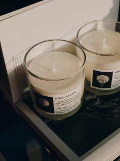 Coleção Evergreen - OSAR Aromas e Fragrâncias