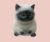 Brinquedo Taba Squish Gatinho - comprar online