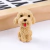 Borracha Cachorrinho Peludo