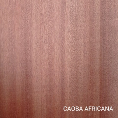 Mastil Caoba Sapelli