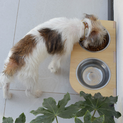 Comedero Mascotas ACHE grande - tienda online