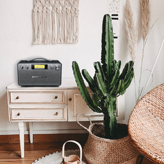 Parlante Box Vintage Collection Muse M-670 - comprar online
