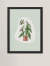 Quadro decorativo - begonia