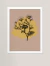 Quadro decorativo - dente-de-leão