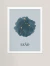 Coleção Signos - Leão I - comprar online