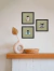 composição de quadros decorativos - insetos