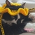 Gorro para gato - ABEJA - comprar online
