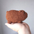 Escandaloso Pardo - Muñeco amigurumi en internet