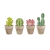 Set de cactus - comprar online