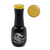Imagen de Angela Bresciano - Gel Polish Esmaltes Semipermanentes Colores (15ml)
