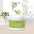 Exel Basics - Crema para Masajes con Extracto de Algas (240gr) - Casiopea Beauty Store