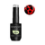 Bompassy - Base Blooming (15ml)