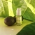 La Puissance - Kit Nutrition Therapy Línea Completa para Cabellos Resecos y Quebradizos - Casiopea Beauty Store
